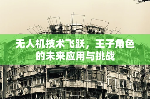 无人机技术飞跃，王子角色的未来应用与挑战