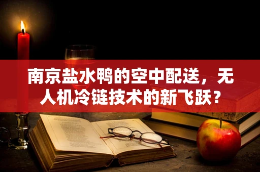 南京盐水鸭的空中配送，无人机冷链技术的新飞跃？
