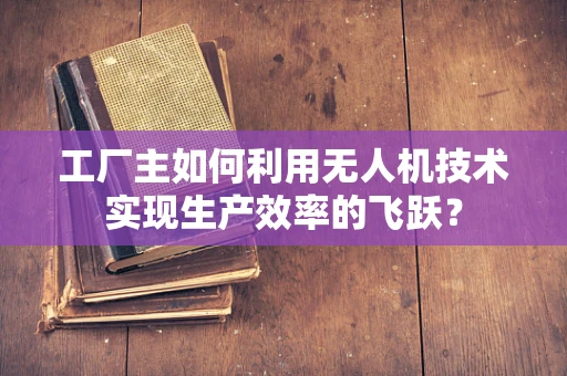 工厂主如何利用无人机技术实现生产效率的飞跃？