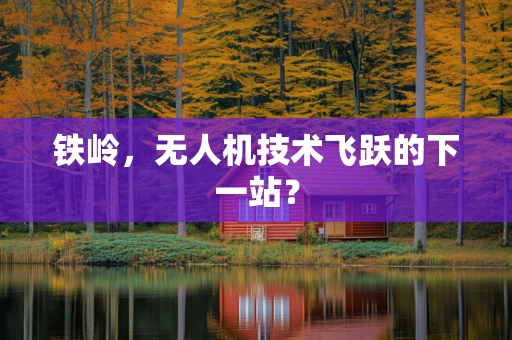 铁岭，无人机技术飞跃的下一站？