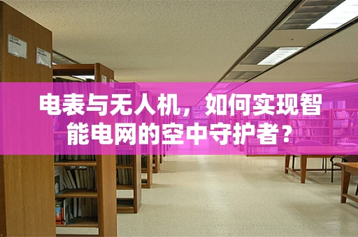 电表与无人机，如何实现智能电网的空中守护者？