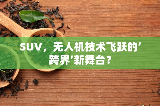 SUV，无人机技术飞跃的‘跨界’新舞台？