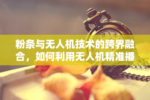 粉条与无人机技术的跨界融合，如何利用无人机精准播种农业新希望？