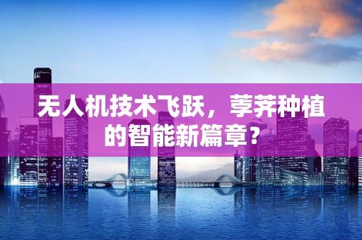无人机技术飞跃，荸荠种植的智能新篇章？