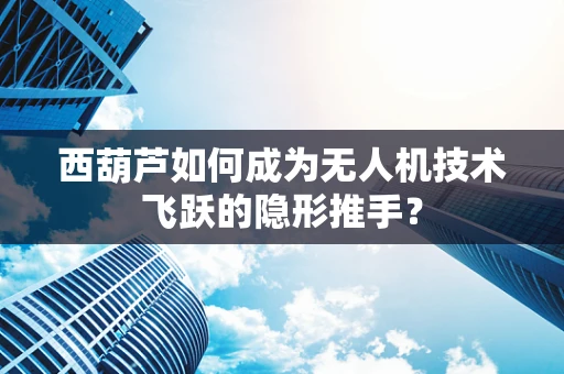 西葫芦如何成为无人机技术飞跃的隐形推手？