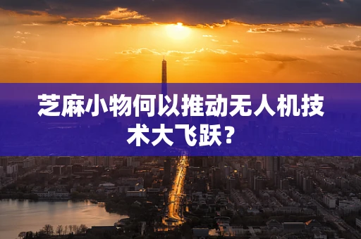 芝麻小物何以推动无人机技术大飞跃？