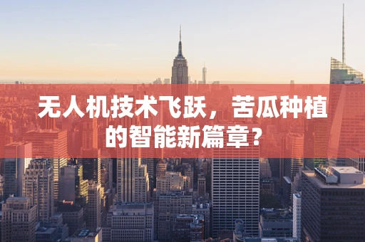 无人机技术飞跃，苦瓜种植的智能新篇章？
