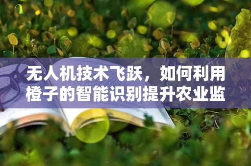 无人机技术飞跃，如何利用橙子的智能识别提升农业监测精度？