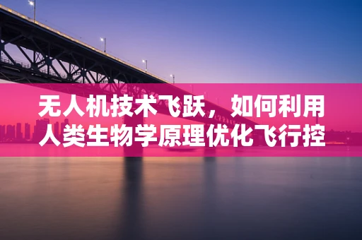 无人机技术飞跃，如何利用人类生物学原理优化飞行控制？