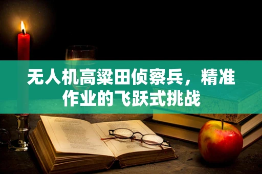 无人机高粱田侦察兵，精准作业的飞跃式挑战