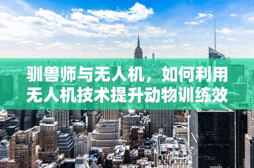 驯兽师与无人机，如何利用无人机技术提升动物训练效率？