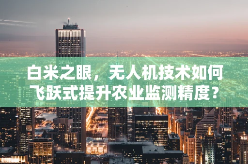 白米之眼，无人机技术如何飞跃式提升农业监测精度？