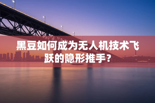 黑豆如何成为无人机技术飞跃的隐形推手？