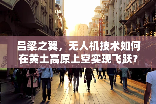 吕梁之翼，无人机技术如何在黄土高原上空实现飞跃？