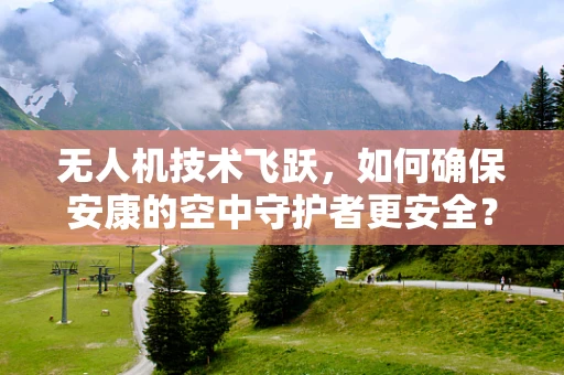 无人机技术飞跃，如何确保安康的空中守护者更安全？