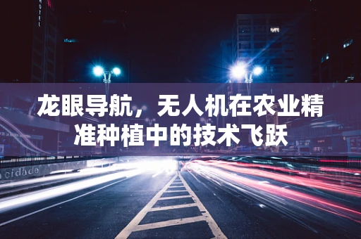 龙眼导航，无人机在农业精准种植中的技术飞跃