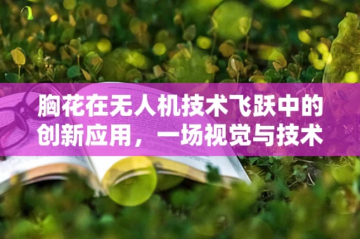 胸花在无人机技术飞跃中的创新应用，一场视觉与技术的浪漫邂逅