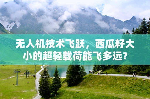 无人机技术飞跃，西瓜籽大小的超轻载荷能飞多远？
