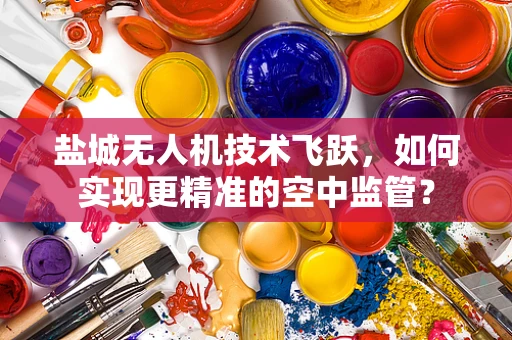 盐城无人机技术飞跃，如何实现更精准的空中监管？
