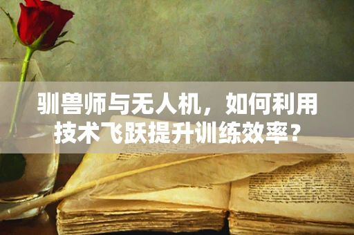驯兽师与无人机，如何利用技术飞跃提升训练效率？