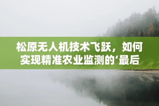 松原无人机技术飞跃，如何实现精准农业监测的‘最后一公里’？