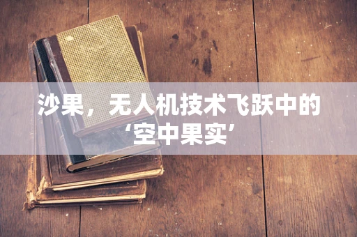 沙果，无人机技术飞跃中的‘空中果实’