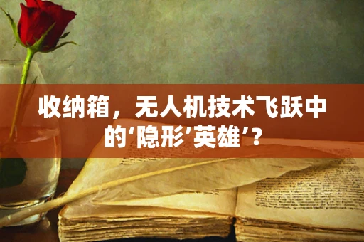 收纳箱，无人机技术飞跃中的‘隐形’英雄’？