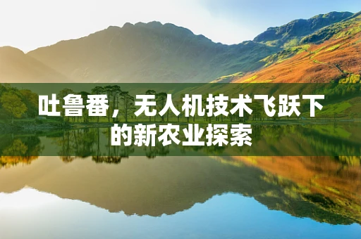 吐鲁番，无人机技术飞跃下的新农业探索