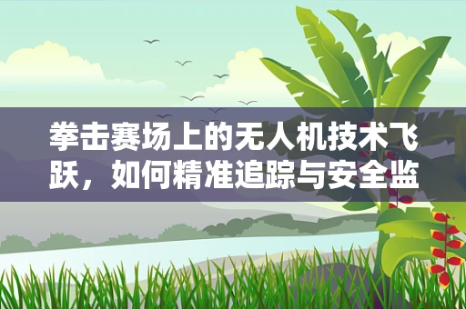 拳击赛场上的无人机技术飞跃，如何精准追踪与安全监控？