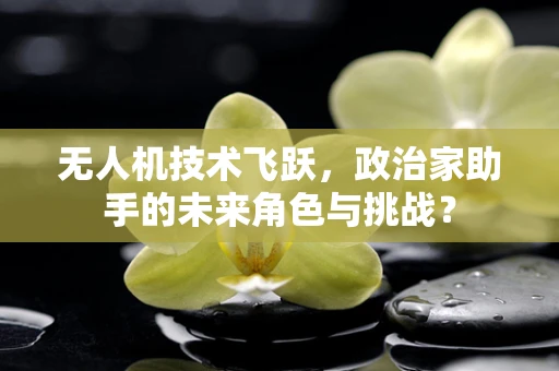 无人机技术飞跃，政治家助手的未来角色与挑战？