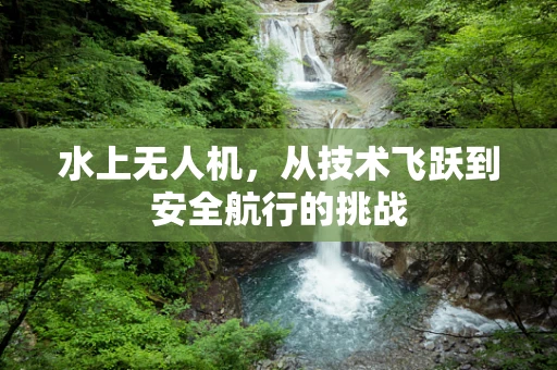 水上无人机，从技术飞跃到安全航行的挑战