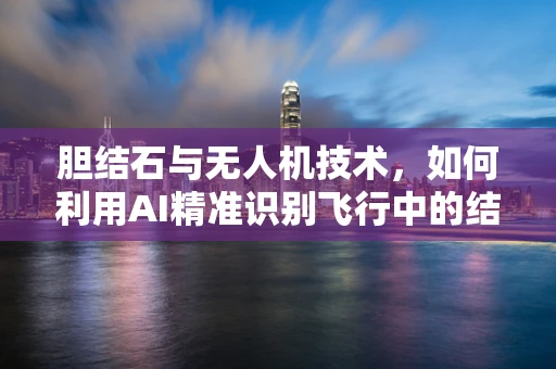 胆结石与无人机技术，如何利用AI精准识别飞行中的结石隐患？