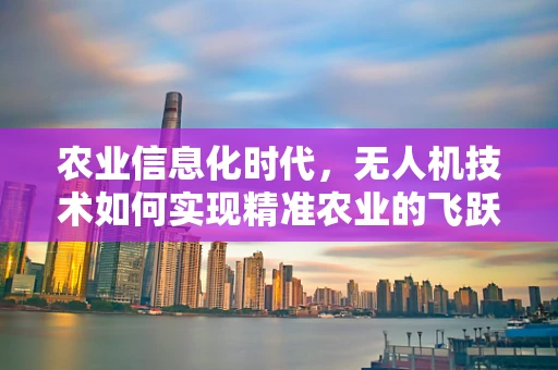 农业信息化时代，无人机技术如何实现精准农业的飞跃？