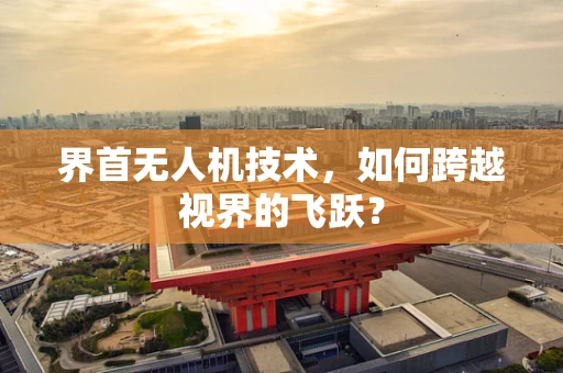 界首无人机技术，如何跨越视界的飞跃？