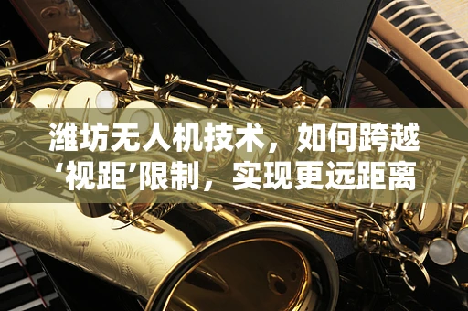 潍坊无人机技术，如何跨越‘视距’限制，实现更远距离的自主飞行？