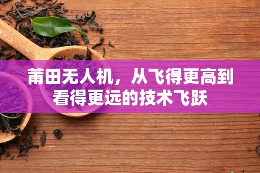 莆田无人机，从飞得更高到看得更远的技术飞跃