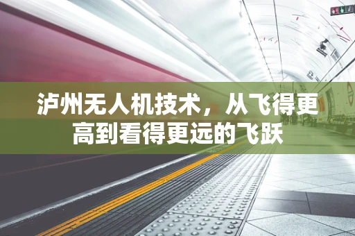 泸州无人机技术，从飞得更高到看得更远的飞跃