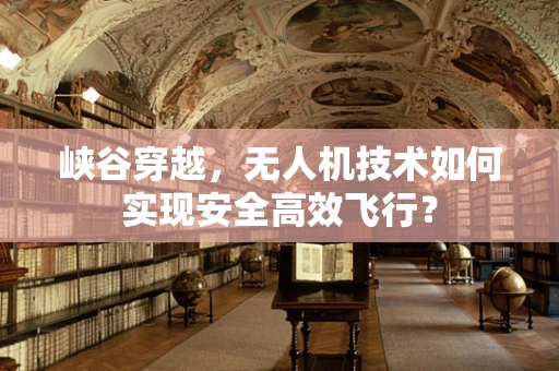 峡谷穿越，无人机技术如何实现安全高效飞行？