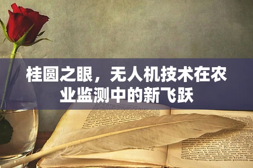 桂圆之眼，无人机技术在农业监测中的新飞跃