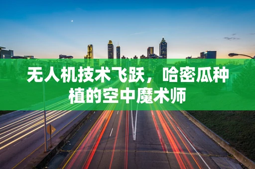 无人机技术飞跃，哈密瓜种植的空中魔术师