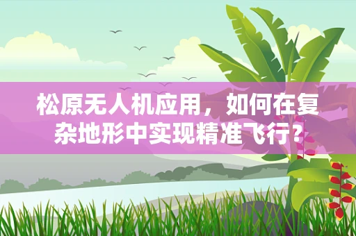 松原无人机应用，如何在复杂地形中实现精准飞行？
