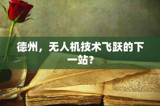德州，无人机技术飞跃的下一站？