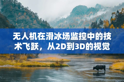 无人机在滑冰场监控中的技术飞跃，从2D到3D的视觉革命