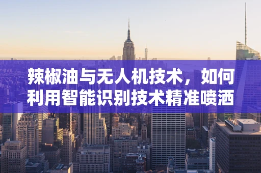 辣椒油与无人机技术，如何利用智能识别技术精准喷洒？