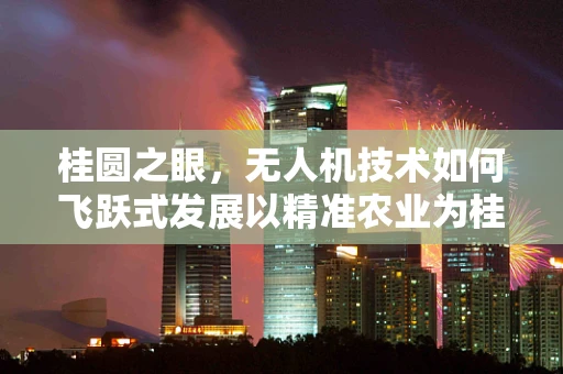 桂圆之眼，无人机技术如何飞跃式发展以精准农业为桂圆种植保驾护航？