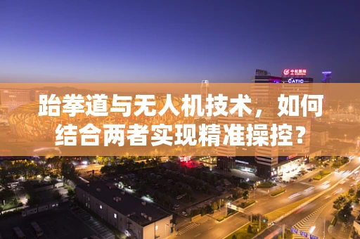 跆拳道与无人机技术，如何结合两者实现精准操控？