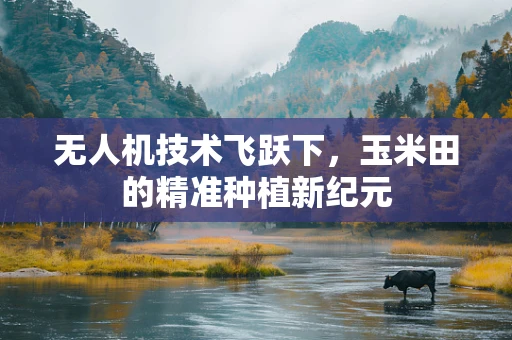 无人机技术飞跃下，玉米田的精准种植新纪元