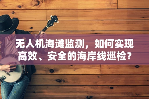 无人机海滩监测，如何实现高效、安全的海岸线巡检？