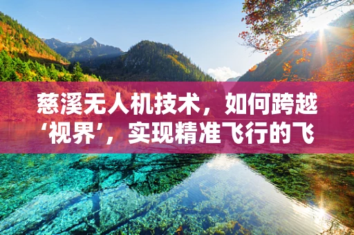 慈溪无人机技术，如何跨越‘视界’，实现精准飞行的飞跃？