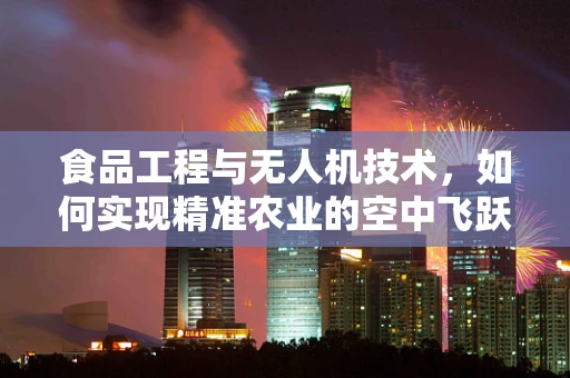 食品工程与无人机技术，如何实现精准农业的空中飞跃？